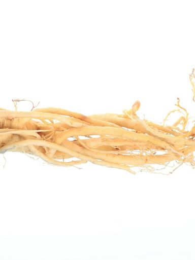 ginseng extract